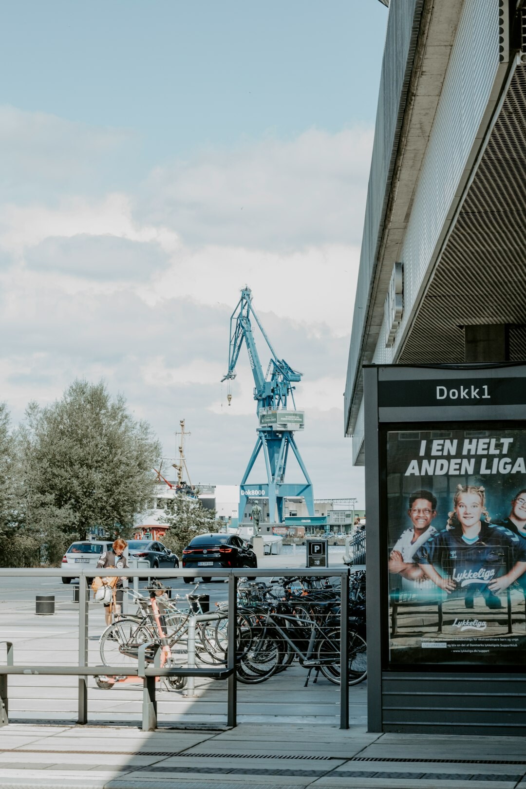 Portrait of a Danish female business developer